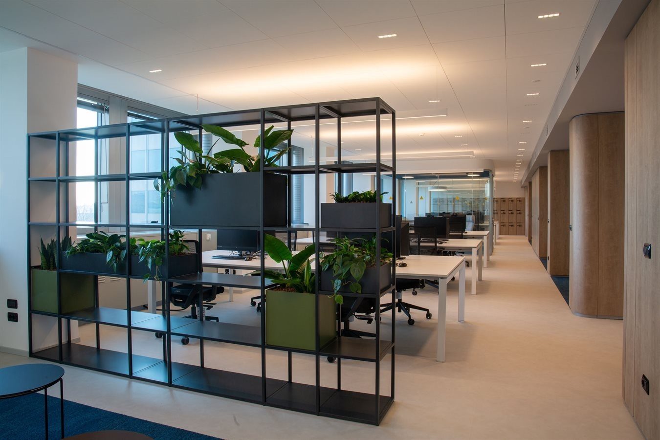 open space oficina moderna estanterias plantas divisorias jpg