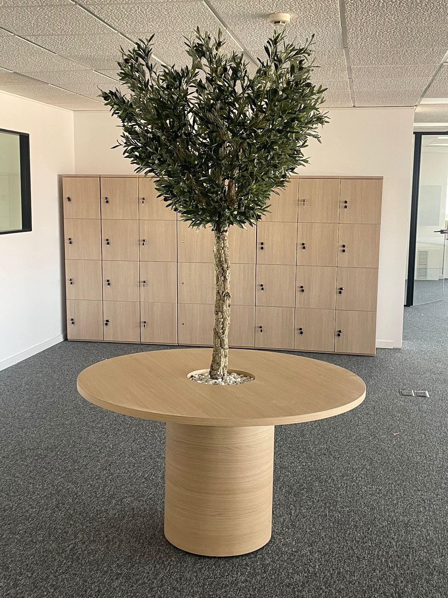 zona comun oficina barcelona arbol taquillas madera jpg